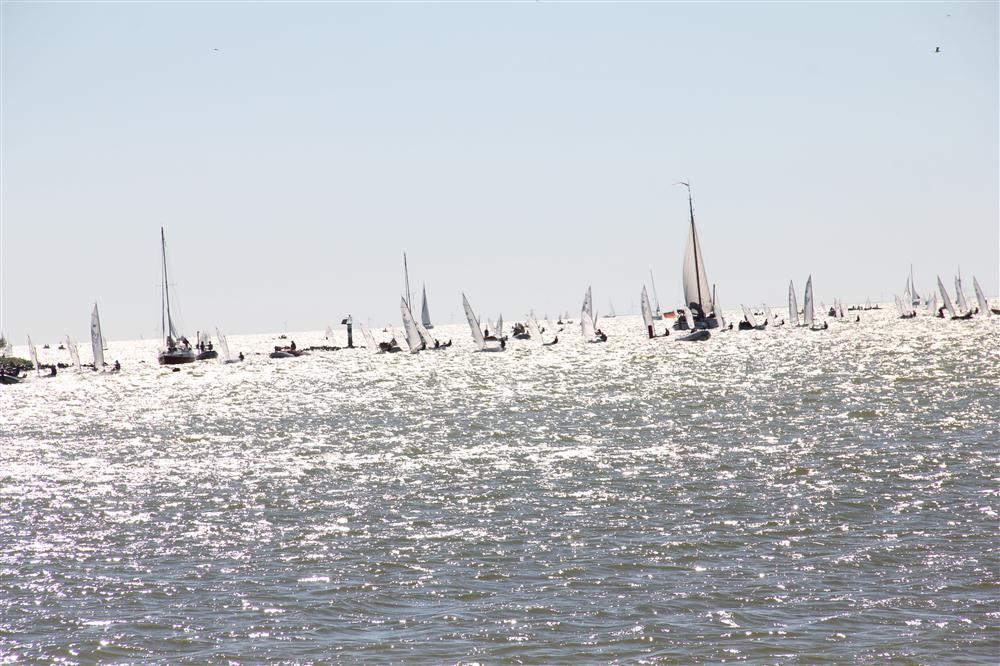 Vis 20110603 162949.jpg i fuld st�rrelse